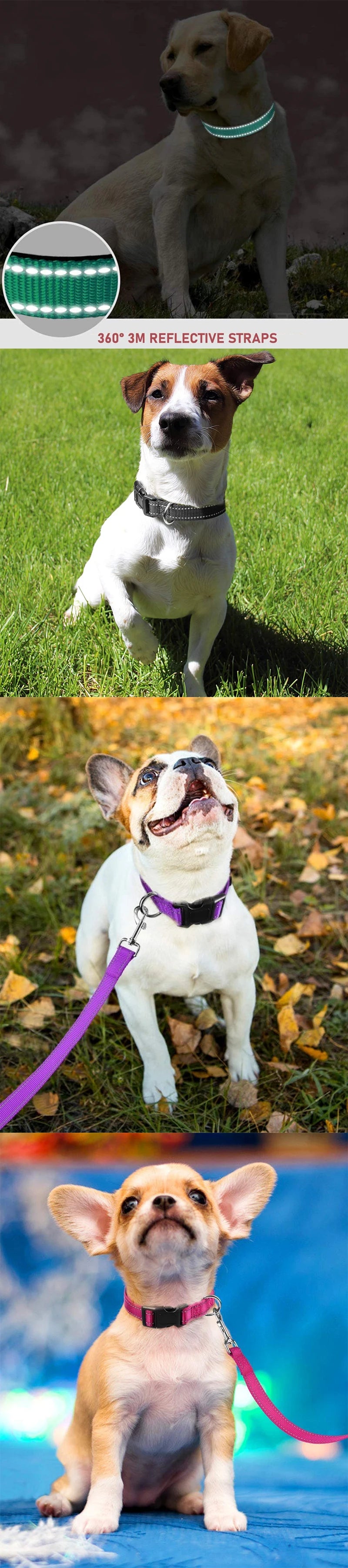 Nylon Pet Collar Pet Leash Chest Strap Dog Leash Collar For Small And Medium-Sized Pets Pet Supplies Dog Leash Collar Adjustable