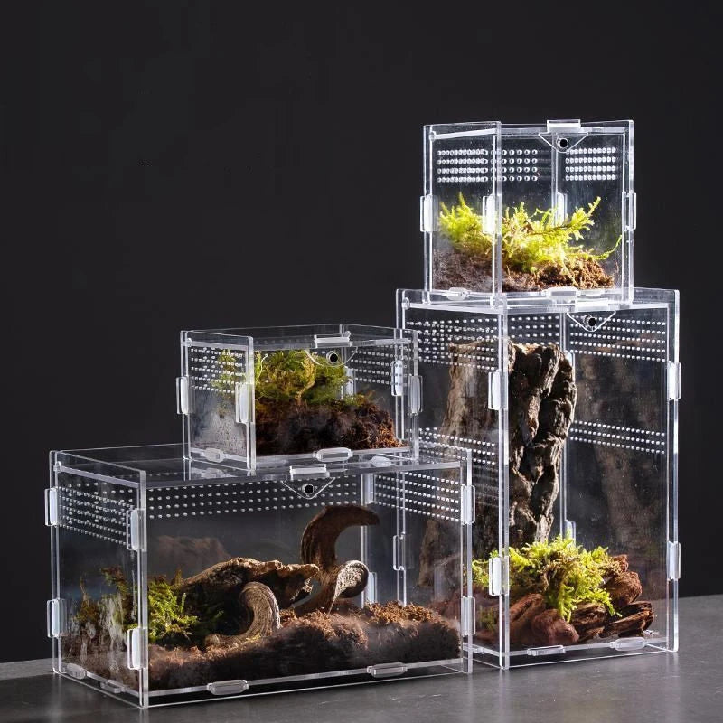 Acrylic Transparent Reptile Breeding Box Terrarium Habitat Insect Spider Lizard Scorpion Feeding Cage Arboreal Enclosure Case