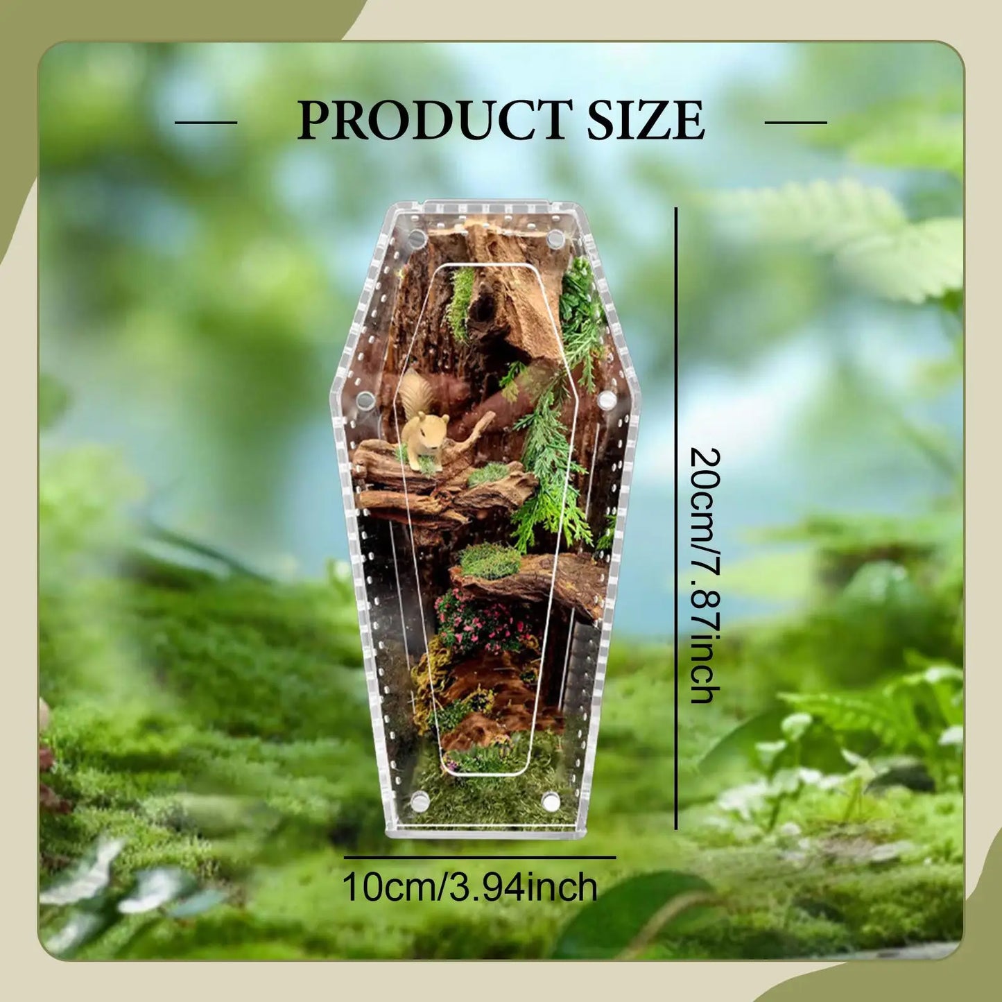 Acrylic Jumping Spider Enclosure Reptile Terrarium Spider Tank