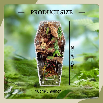 Acrylic Jumping Spider Enclosure Reptile Terrarium Spider Tank
