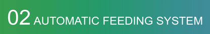 Chicken Feeding System In Broiler Coop Shed For Poultry Farm With Automatic Feeder And Drinker