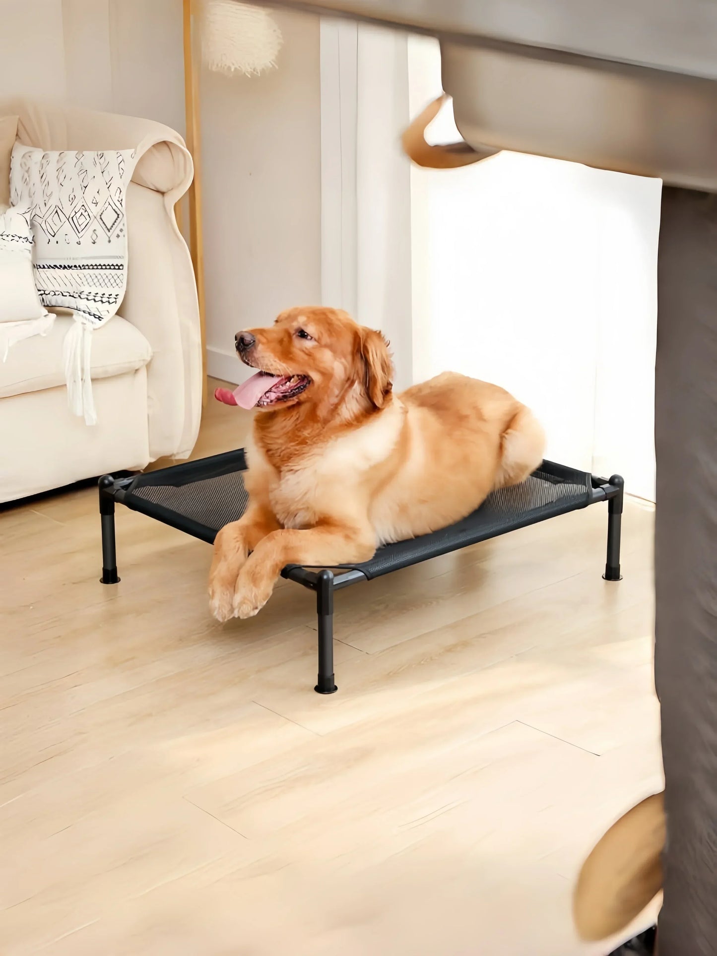 Pet Bed, Cat Dog Folding Camping Bed, Marching Bed, Portable, Detachable, Washable, All Season Cat Kennel, Puppy Bed Cat Bed