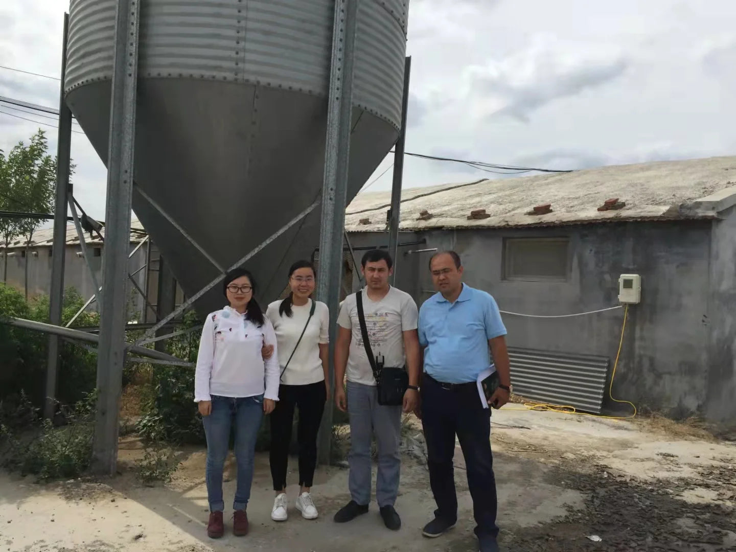 Chicken Feeding System In Broiler Coop Shed For Poultry Farm With Automatic Feeder And Drinker