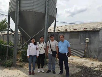 Chicken Feeding System In Broiler Coop Shed For Poultry Farm With Automatic Feeder And Drinker