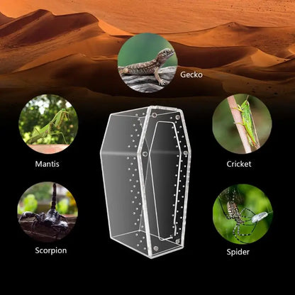 Acrylic Transparent Reptile Enclosure Insect Spider Lizard Feeding Cage Reptile Breeding Box Ventilation Arboreal Enclosure Case