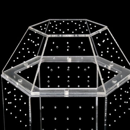 Jumping Spider Enclosure Acrylic Terrarium Habitat All-Side Ventilation Spider Tank for Spiders Tarantulas Snail Lizard Reptiles
