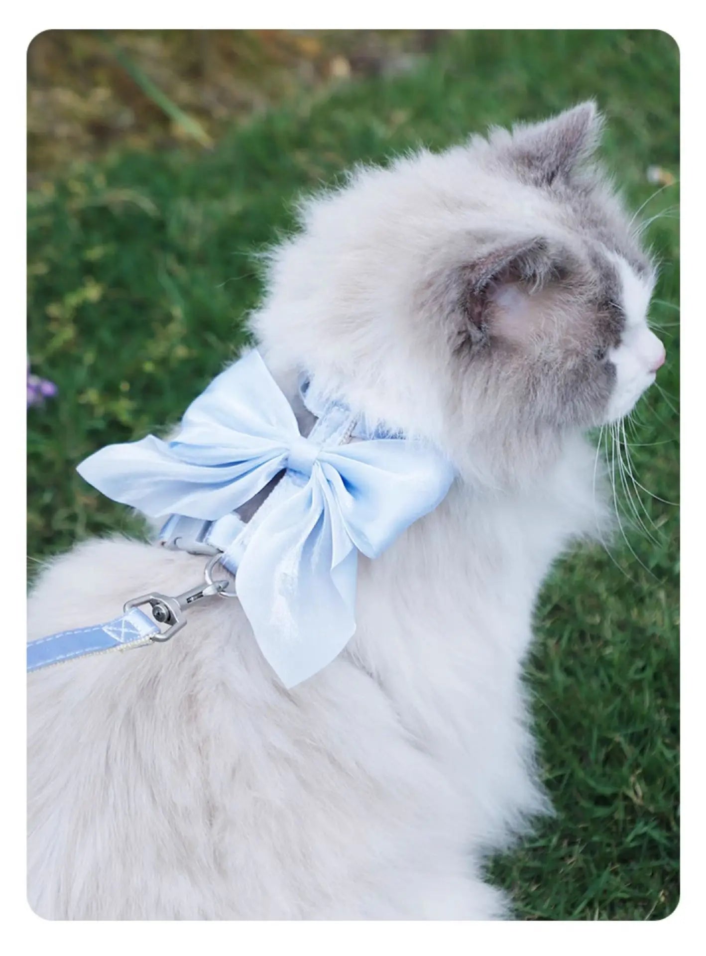 Cat Harness and Leash Set with Big Bow, Escape Proof Reflective Kitten Lead, Adjustable H-Type Vest for Walking, Cute Shiny