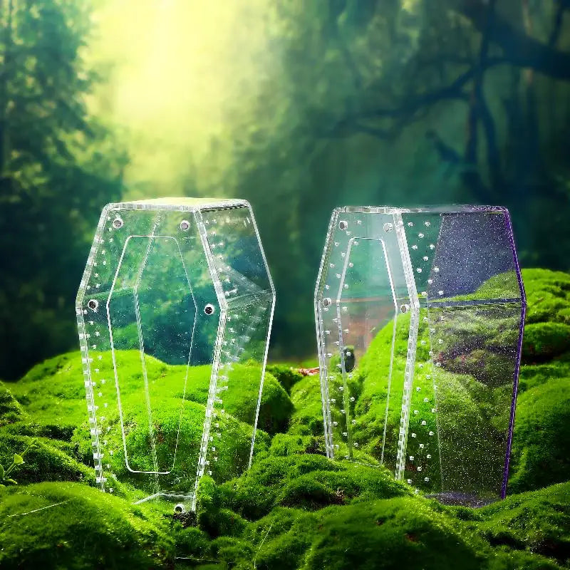 Acrylic Transparent Reptile Enclosure Insect Spider Lizard Feeding Cage Reptile Breeding Box Ventilation Arboreal Enclosure Case