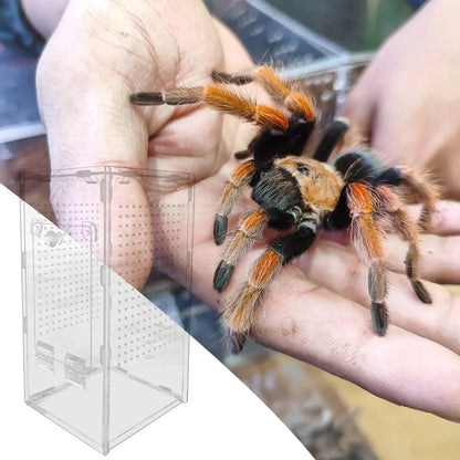 Spider Enclosure Mantis Acrylic Terrarium Spider Enclosure Ventilated Reptile Animal Cage for Breeding Observation Frog Lizard