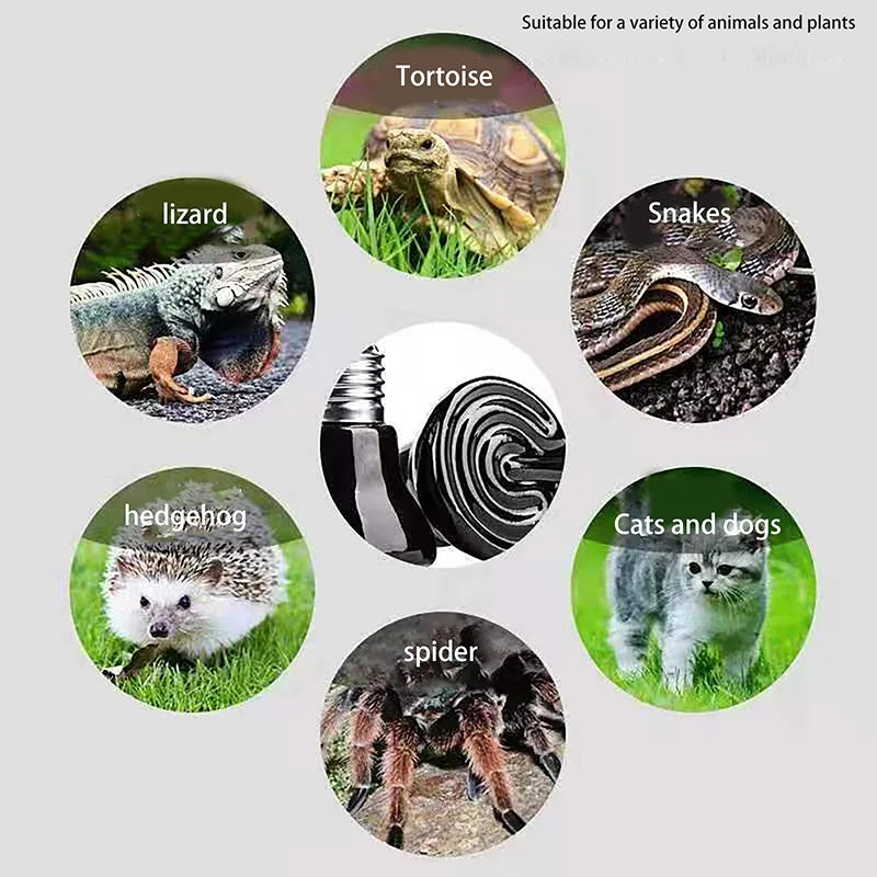 1Pc 220-240V Far Infrared Heating Lamp Black Ceramic E27 Pet Warmer Bulb Brooder Chickens Tortoise Lizard Reptile Light 20-80W