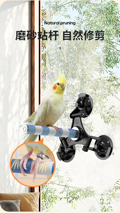 Multi-Functional Perch Stand for Birds with Bird Shower Perch Function Ideal Window Perch for Birds with Secure Suction Cup