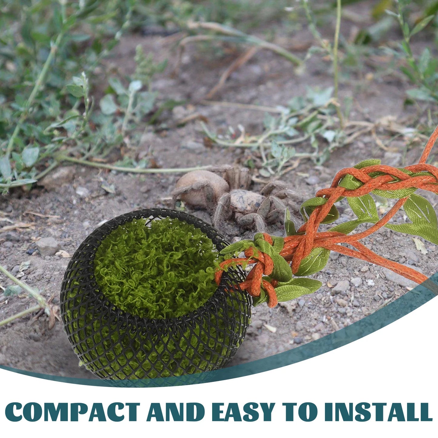 Mini Jumping Spider Shelter Natural Tree Vine Climbing Habitat Enclosure Hide Box Decorative Arboreal Spider Retreat Nesting