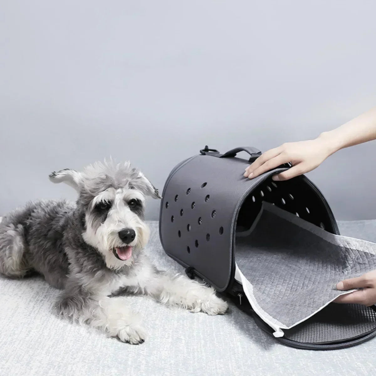 Eco-Friendly Bamboo Charcoal Puppy Pads- 20/40/50/100PCS Quick-Dry Absorbent Disposable Dog Diapers for Training & Clean Comfort