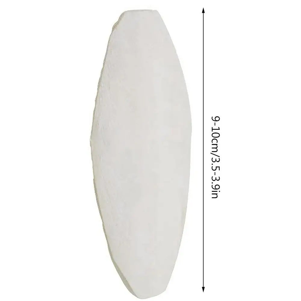 Bird Cuttlebone Toy 10pcs Chewing Cuttlefish Bone Natural Cuttlefish Bones Chew Toy for reptiles turtles turtles snails birds