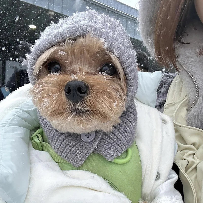 Pet Warmth Cover Head Knitted Hat Dog Small Dog Decoration Teddy Dog Accessories Small Dogs Winter Pet Warm Pullover Hat
