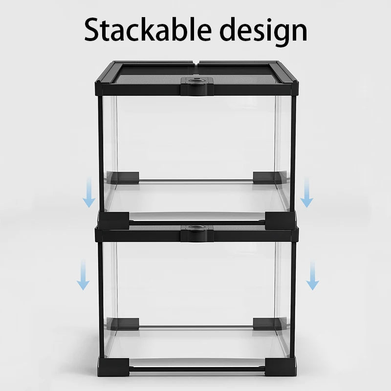 Reptile Terrariums Glass Landscaping Ecological Tank Amphibious Habitat Breeding Box Lizard Turtle Transparent Display Tanks