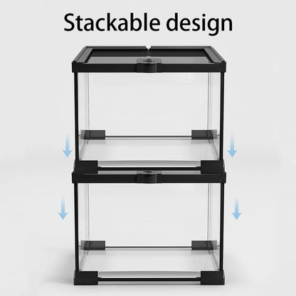 Reptile Terrariums Glass Landscaping Ecological Tank Amphibious Habitat Breeding Box Lizard Turtle Transparent Display Tanks