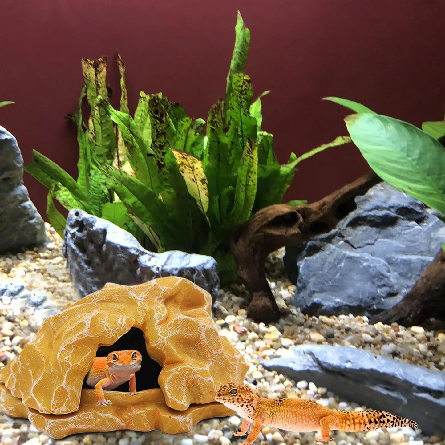 Lizard House Terrarium Resin Fake Rock Bearded Dragon Cave Landscape Basking Area Aquarium Decor Reptile Hiding Caves