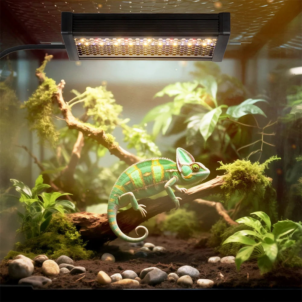 AC100-240V Dimmable LED Reptile UVB light 10W 6H/10H/12H  Timer Snake Turtle Pet Full Spectrum Basking UV Light Heating Lamp 20W