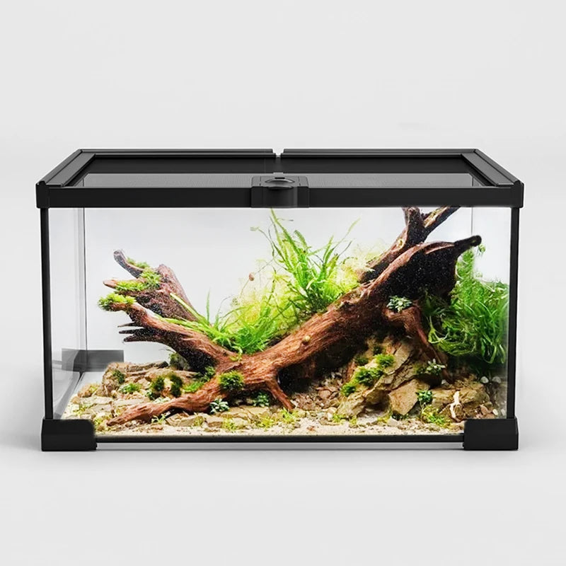 Reptile Terrariums Glass Landscaping Ecological Tank Amphibious Habitat Breeding Box Lizard Turtle Transparent Display Tanks