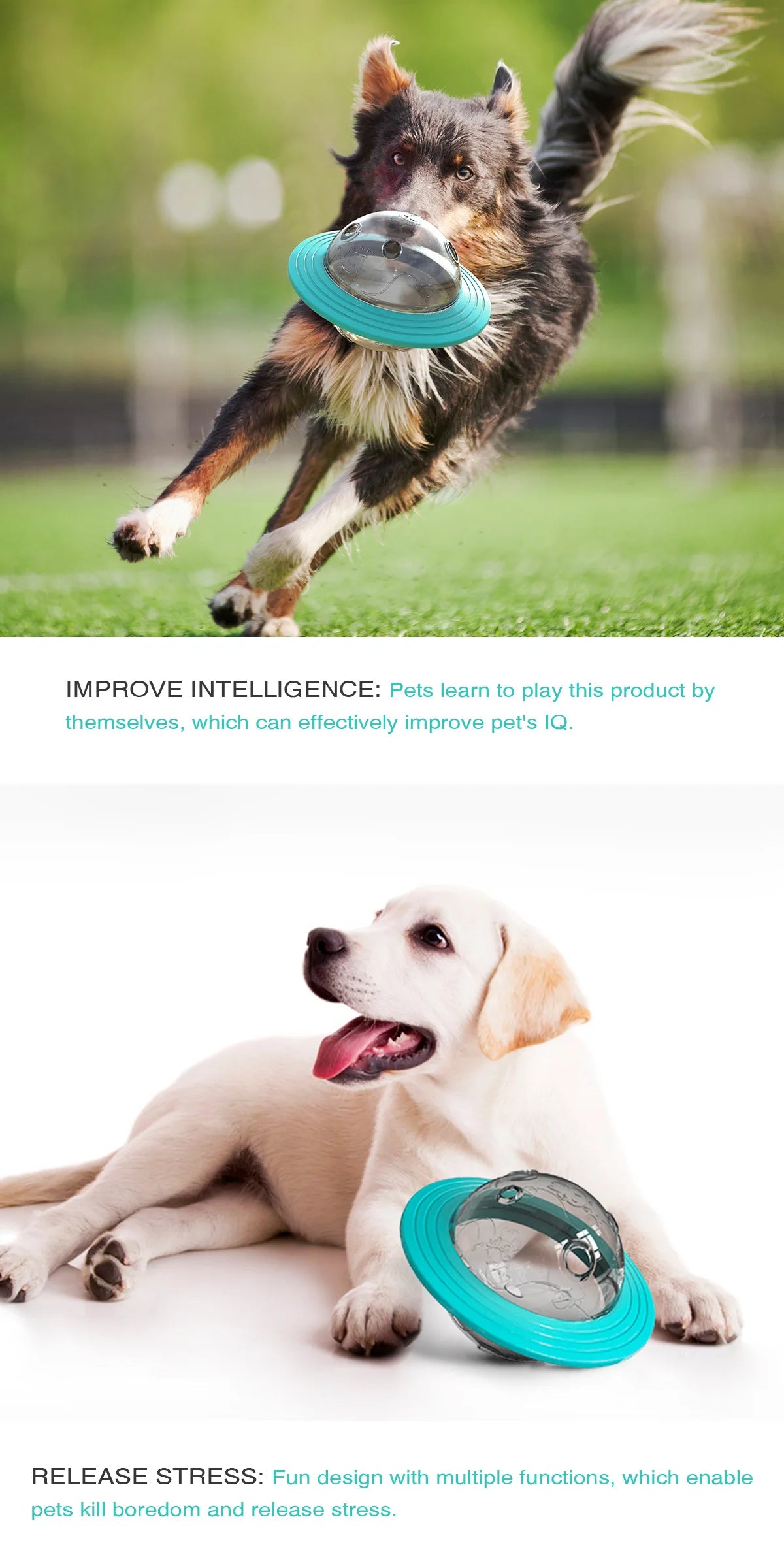 Durable Dog Food Feeder Interactive Toys Chew Proof Pet Dog Cat Toys Wobble Ball Food Feeder for Powerful Chewers Training