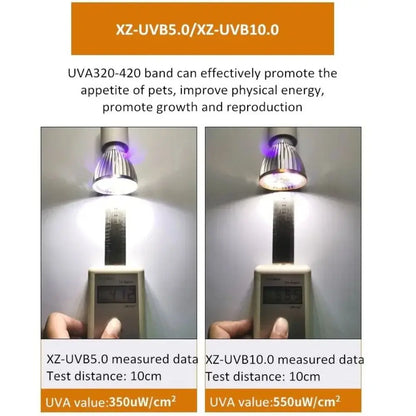 LED Reptile Light Bulb UVA UVB E27 Terrarium Lamp Full Spectrum 5.0/10.0 Lighting Small Pet Heating Bulb Therapy Night Vision