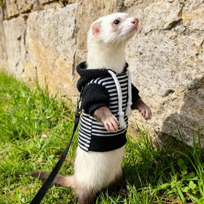 Skin Friendly Elastic Ferret Hoodie Cozy Soft Ferret Pullover Stylish Drawstring Thick Fleece Hamster Coat Daily Party