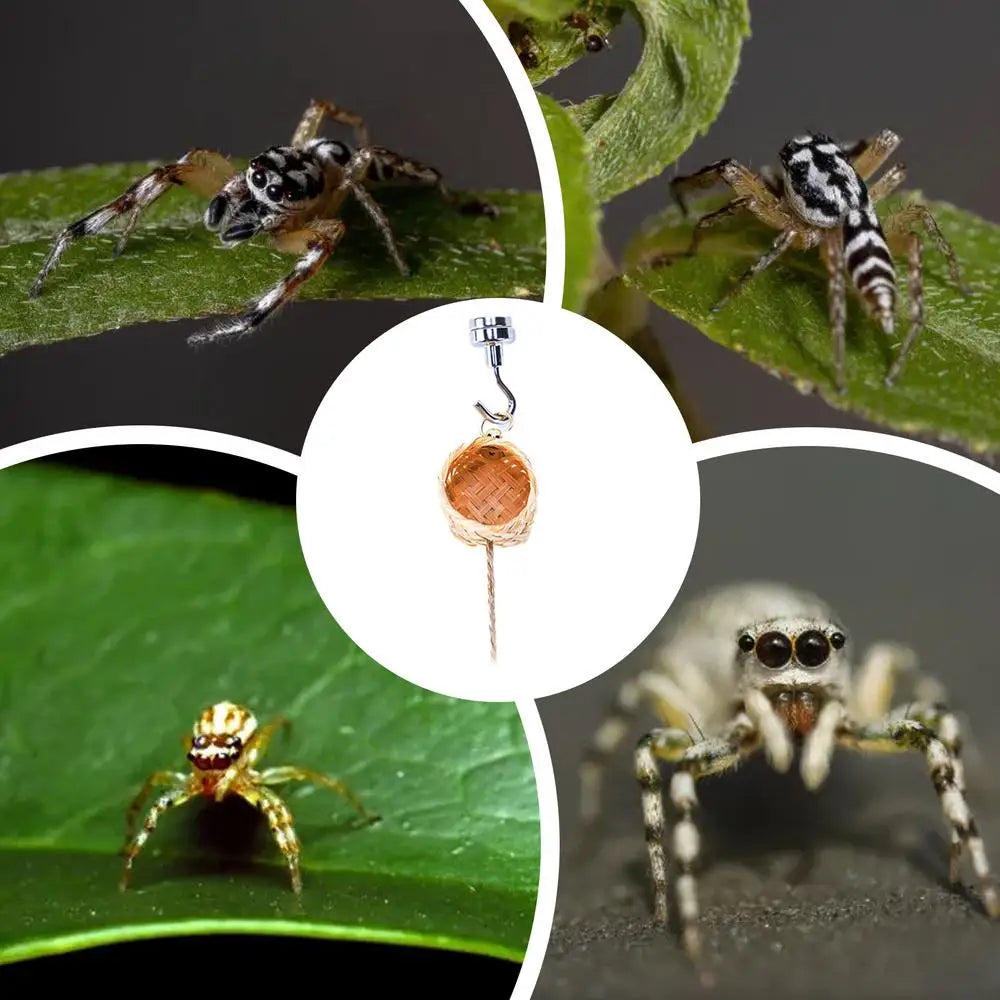 Magnetic Jumping Spider Hideawa y Pet Spider Habitat with Climbing Rope Decorative Small Pet House Shelter Space for Home Garden