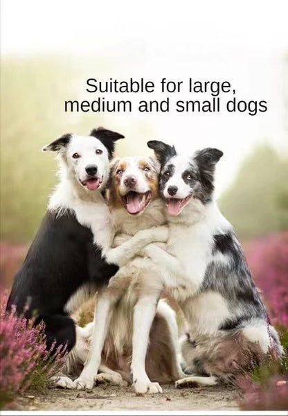 Electric Dog Training Collar, Remote Control, Anti Bark Collars for Dogs, Vibration Sound, Rechargeable, Waterproof, Pet Colar