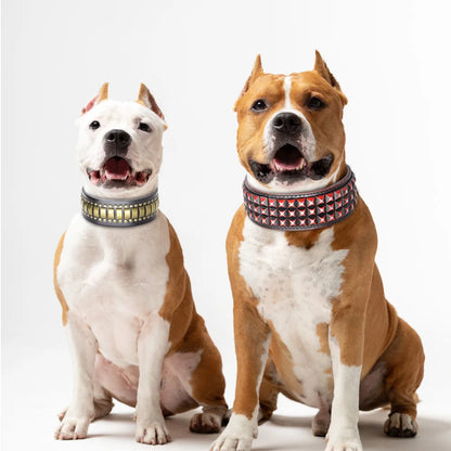 Luxurious Dog Real Leather Collar Cool Spiked Studded Pet Collars Jeweled Leather Dogs Collars Necklace For Pet Show Bulldog