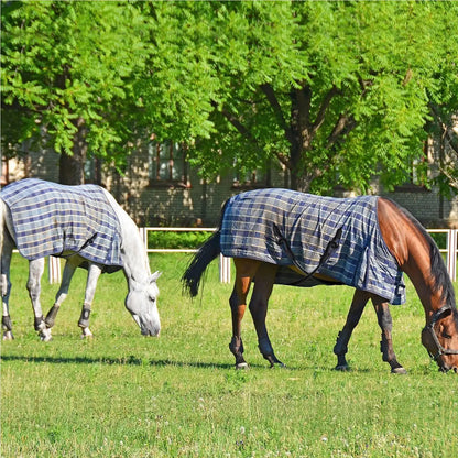 4pcs Horse Blanket Leg Straps with Double-ended clip 21.26 Inches Leg Straps for Horse Blanket Horse care accessories