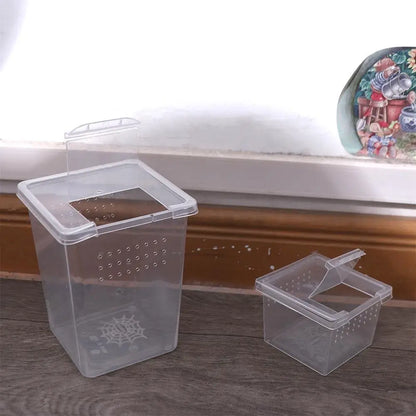 Reptile Accessories Transparent for Scorpion Spider Ants Lizard Living Box Hatching Tank Insect Feeding Box Reptile Habitat