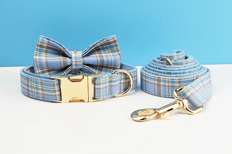 Luxury Dog Leash and Collar ，retractable walking collar for small and big pet .