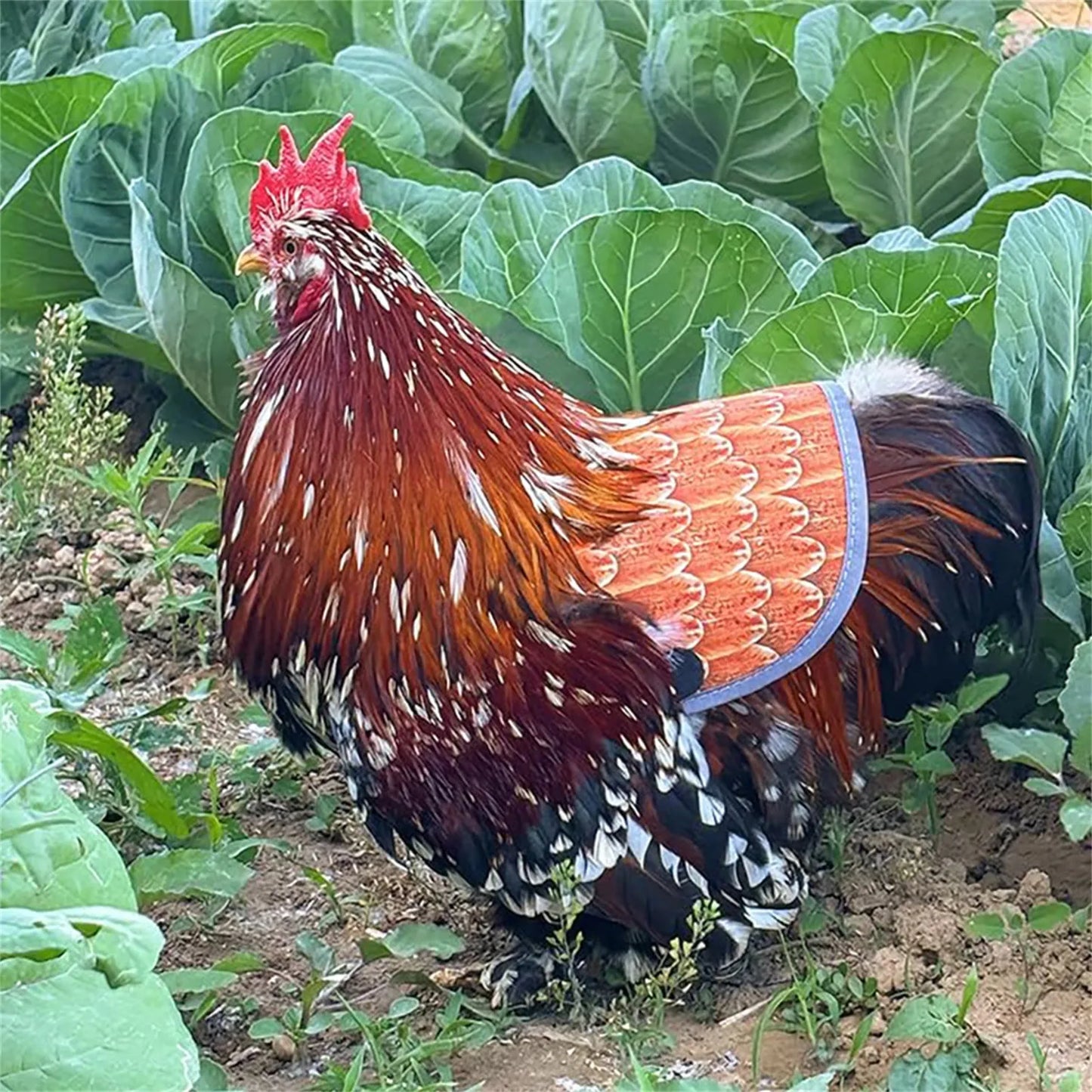 Chicken Saddle For Hens Adjustable Strap Chicken Saddle Breathable Full Coverage Feather Protection Poultry Accessories