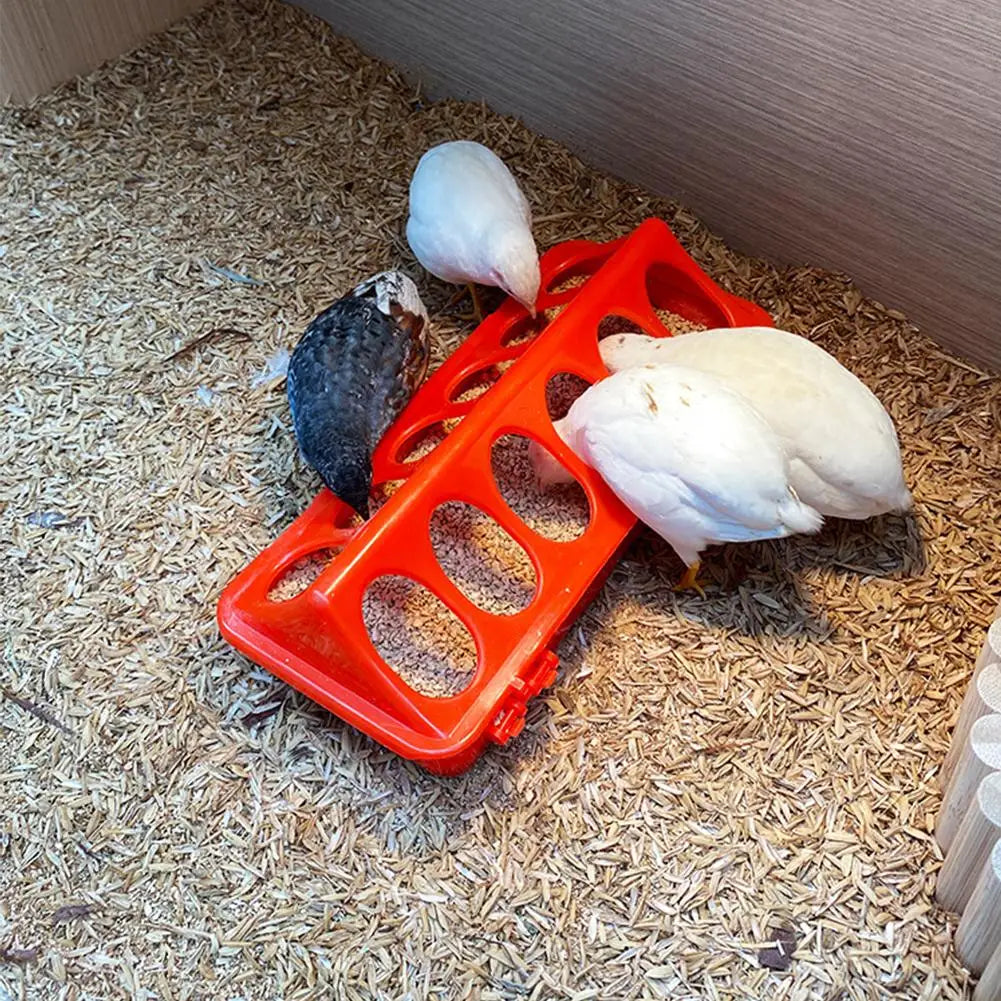 Poultry Thickened Feeder And Drinker Water Food Dispenser Chicken Birds Chick Waterer Feeding Bucket Container