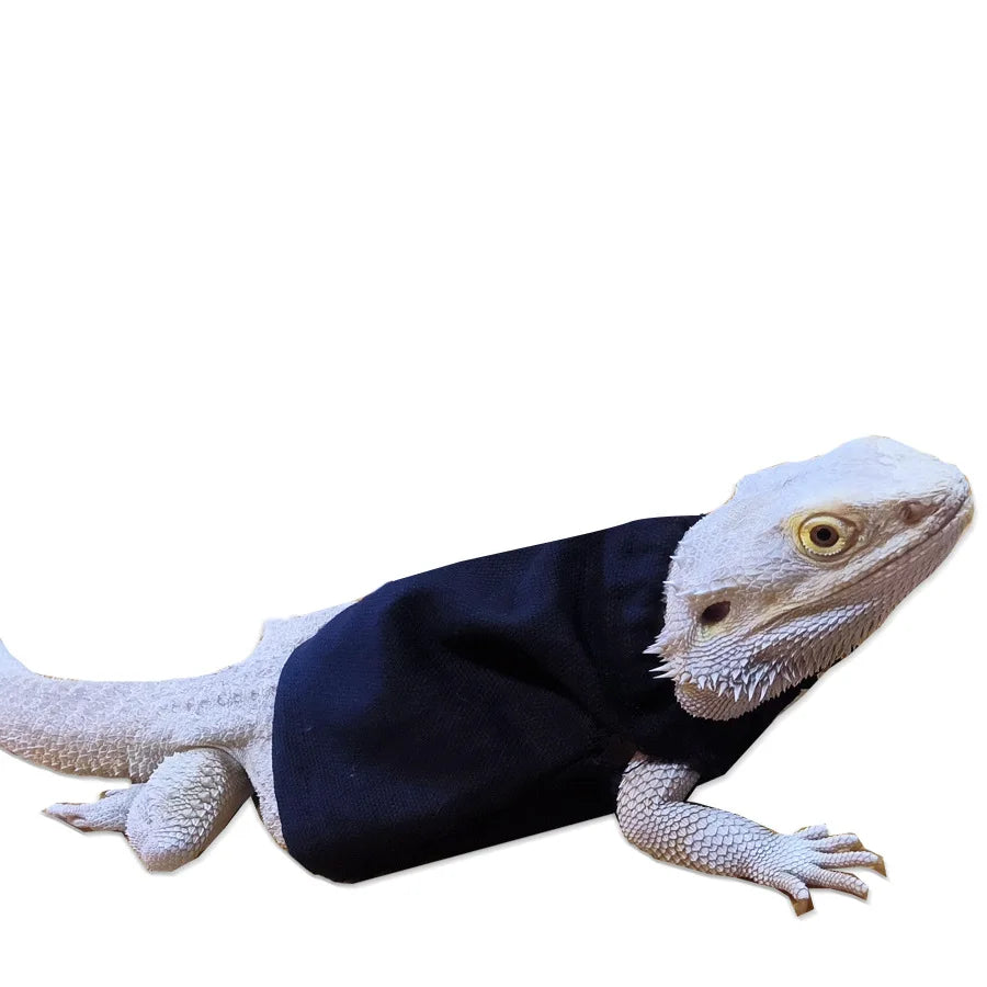 Fashion Bearded Dragon Clothes Costume Accessories Warm Apparel Clothing Hand-made Warm Coat Jackets for Small Animal Geckos