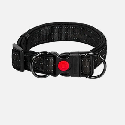 Reflective Padded Dog Collar Durable Strong Double D Ring Safety Nylon Pet Dog Collars Adjustable for Small Medium Large Dogs