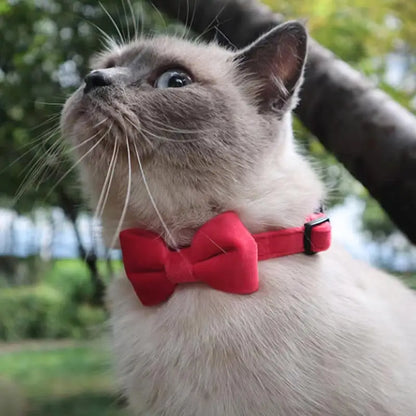 Pet Collars New Pet Bow Bell Collars Cute Cat Collars Pet Supplies Multicolor Adjustable Pets Dressing Tool Pets Accessories