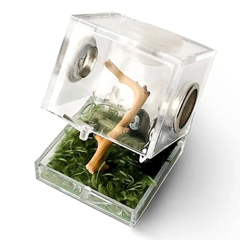 Jumping Spider Habitat Acrylic Breeding Box Cage for Spiders Small Insects