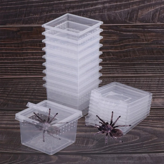 Reptile Accessories Transparent for Scorpion Spider Ants Lizard Living Box Hatching Tank Insect Feeding Box Reptile Habitat