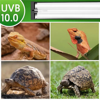 T5 UVB Reptile Light Fixture Combo Kit 8W, For Reptiles, 10.0 UVB Light, Terrarium Hood Comes With Desert US Plug-A78G