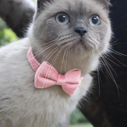 Pet Collars New Pet Bow Bell Collars Cute Cat Collars Pet Supplies Multicolor Adjustable Pets Dressing Tool Pets Accessories