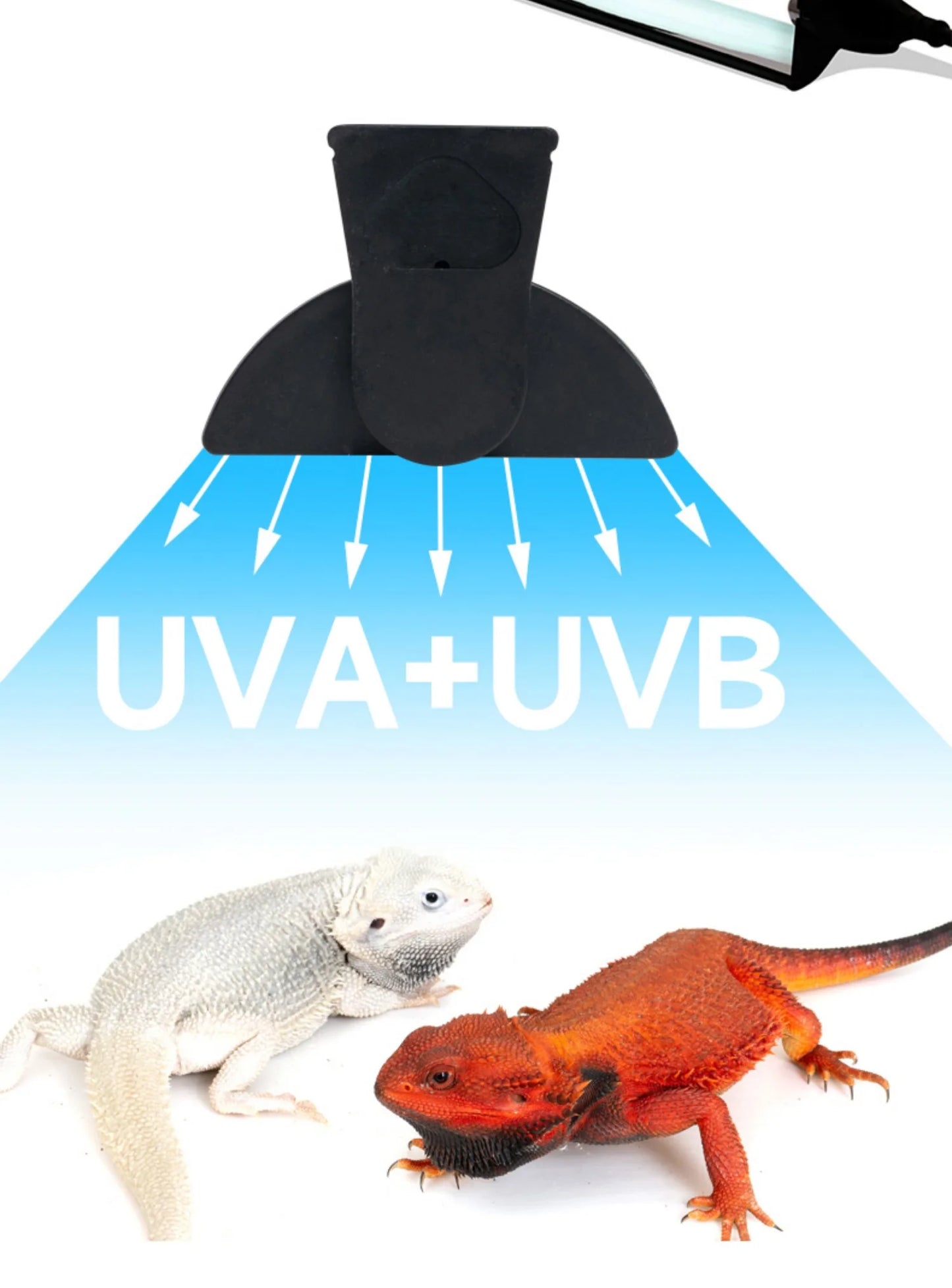 T5 Reptile Light Fixture 8W Reptile Terrarium Hood 5.0/10.0 UVB Light Bulb Fluorescent Tube for Bearded Dragon Lizards Tortoises