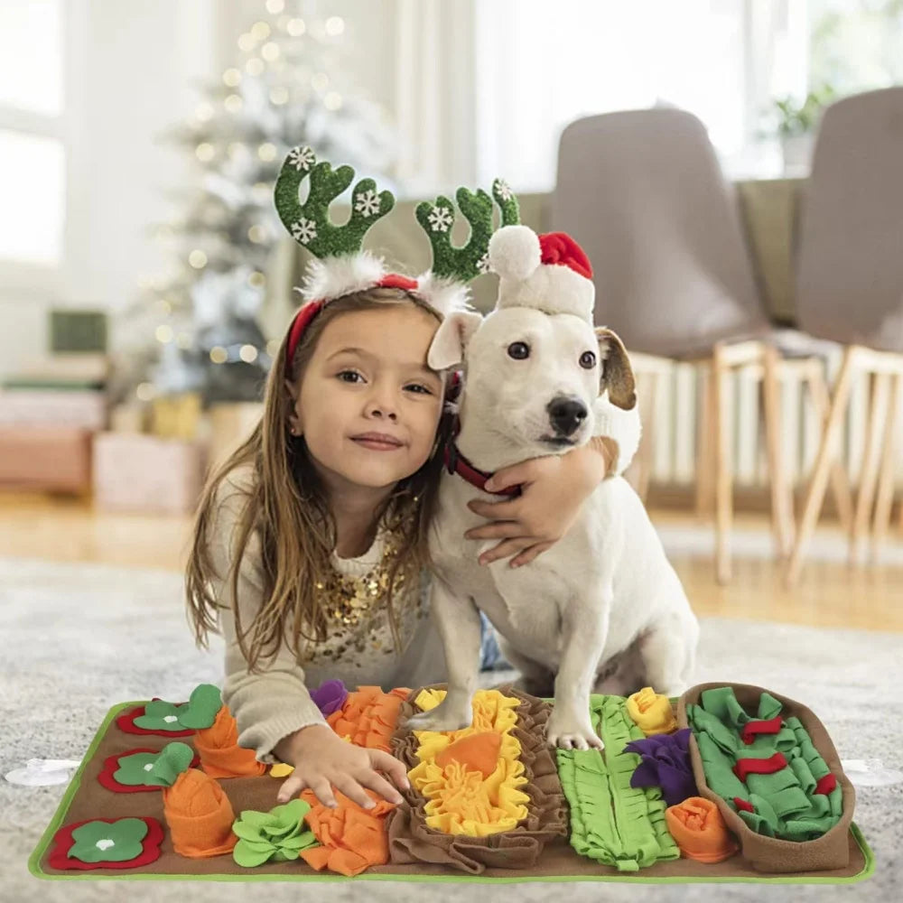 Pet Dog Snuffle Mat Slow Feeding Training Toy for Indoor/Outdoor Activities Wool Fleece Dog Puzzle Toy Pet Stuffy Foraging Pads