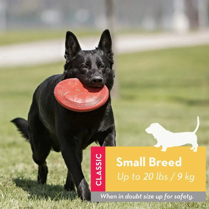 2024 Durable Kong Dog Toys Safer Healthy Activity Kong Flyer Rubber Outdoor Flying Disc