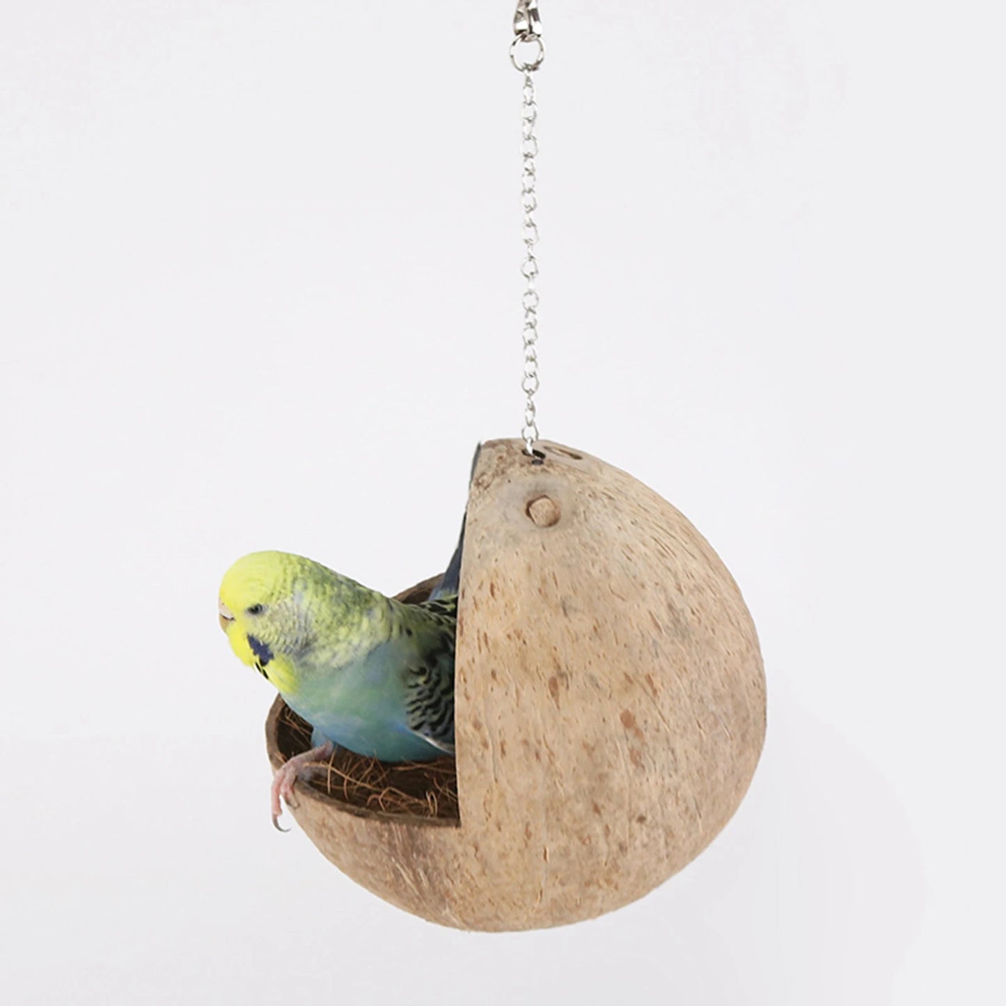 Coconut Shell Bird Nest Bird Cage Coconut Parrot House Outdoor Coconut Bird Shell for Lovebird Canary Hamster Budgies Parrot