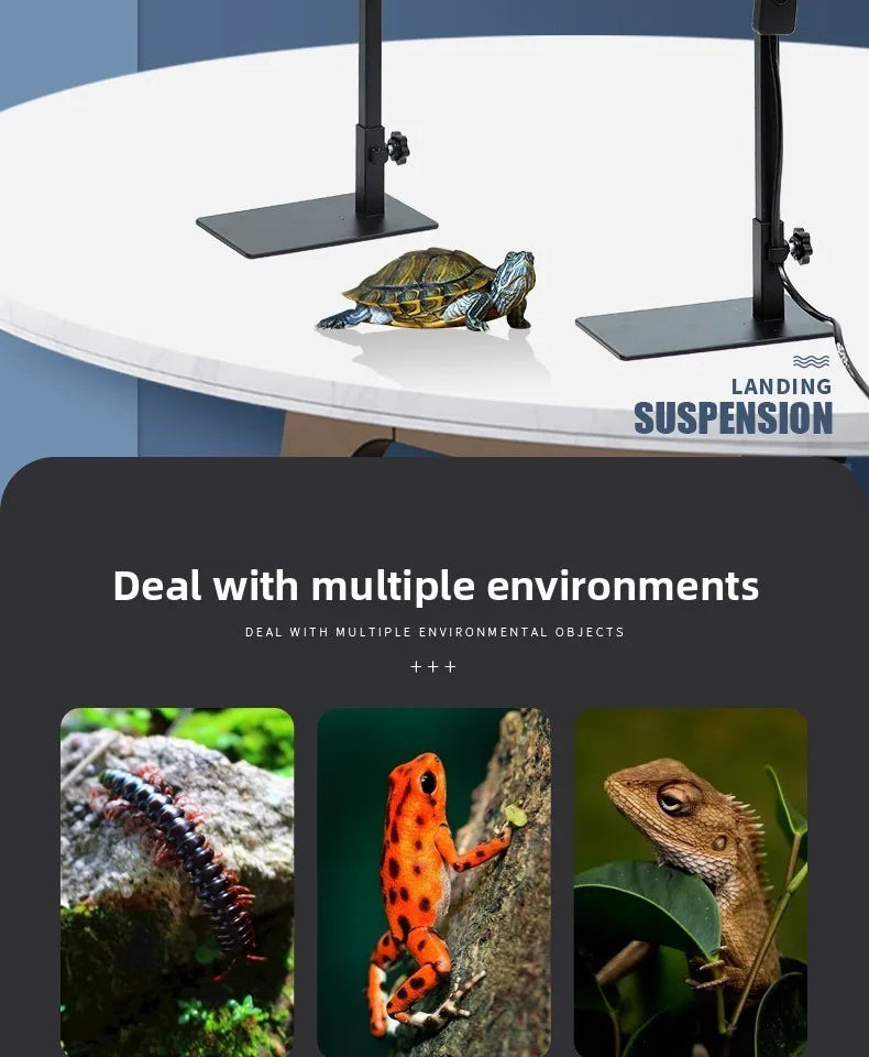 Reptile Lamp Stand Adjustable Floor Light Holder Stand Land Bracket Metal Lamp Stand Support for Glass Terrarium Heating Light