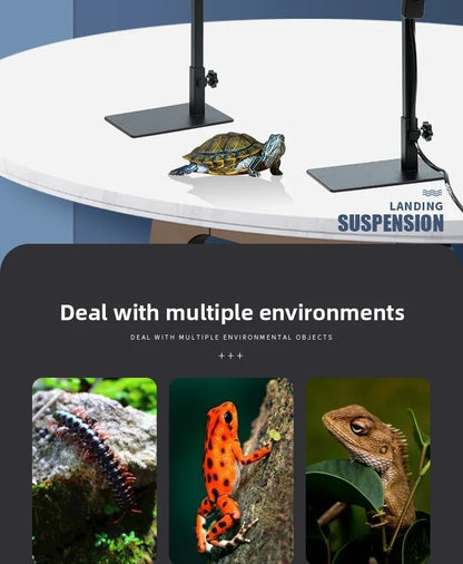 Reptile Lamp Stand Adjustable Floor Light Holder Stand Land Bracket Metal Lamp Stand Support for Glass Terrarium Heating Light