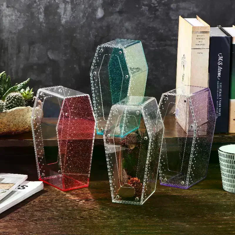Acrylic Transparent Reptile Enclosure Insect Spider Lizard Feeding Cage Reptile Breeding Box Ventilation Arboreal Enclosure Case