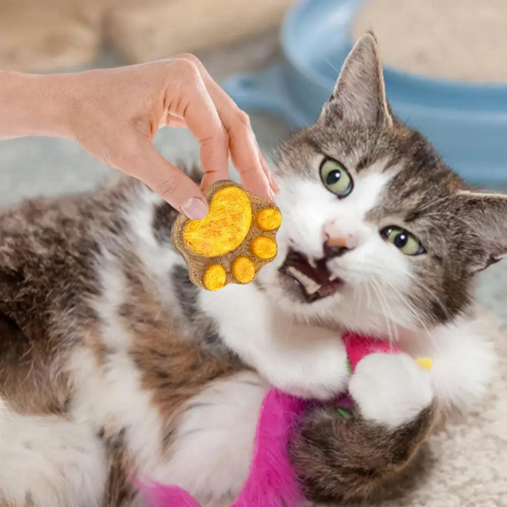 Pet Cat Snacks Freeze-dried Cats Snacks Cat Claw Snacks Cat Dog Universal Snacks Train To Get Rewarded Pet Treats Kitty Food